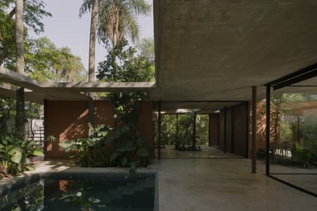 A Forest in the House